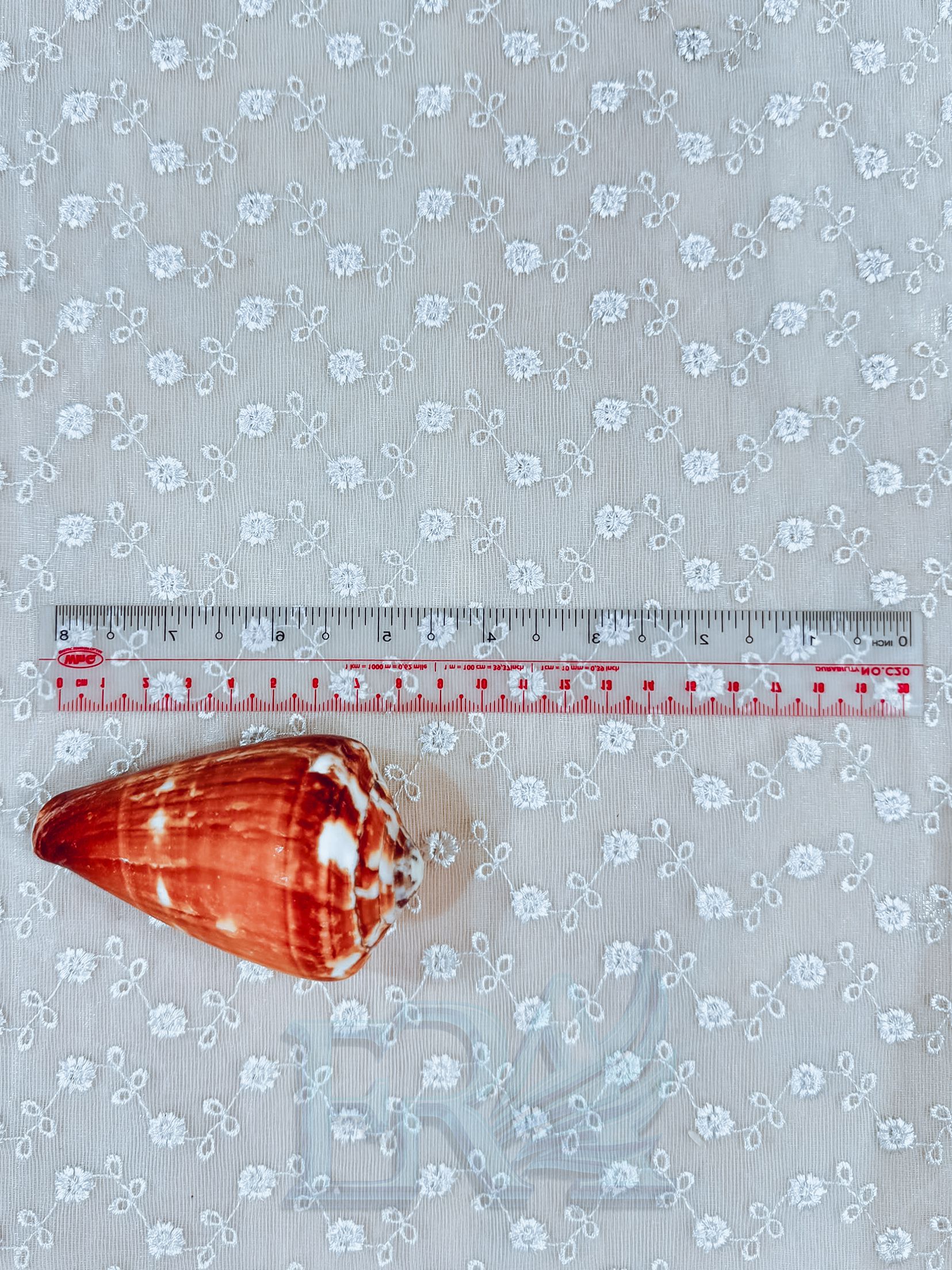 Vỏ Ốc 000288
